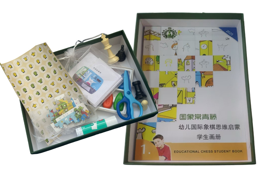 国际象棋幼儿思维启蒙课材料包-北京海育科北专享